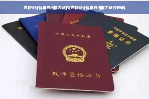 吉林省计算机应用能力证书(吉林省计算机应用能力证书查询)