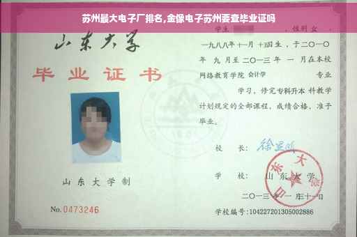 苏州最大电子厂排名,金像电子苏州要查毕业证吗