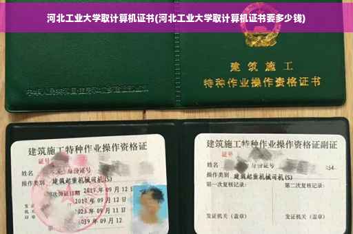 河北工业大学取计算机证书(河北工业大学取计算机证书要多少钱)