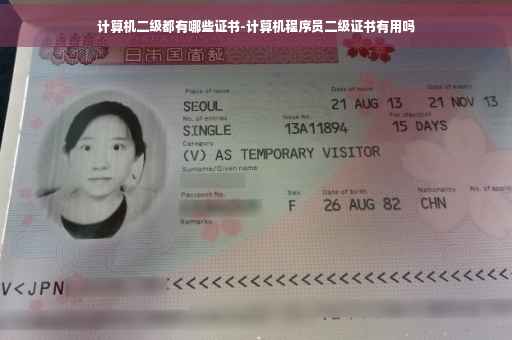 计算机二级都有哪些证书-计算机程序员二级证书有用吗