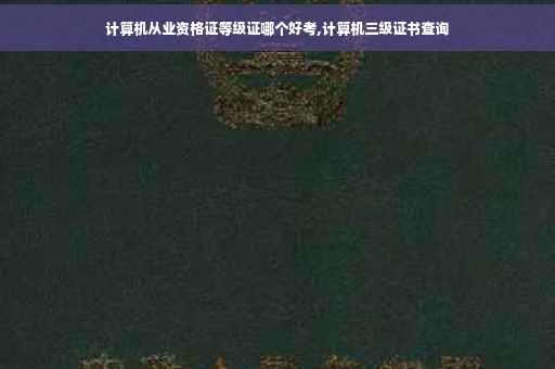 计算机从业资格证等级证哪个好考,计算机三级证书查询