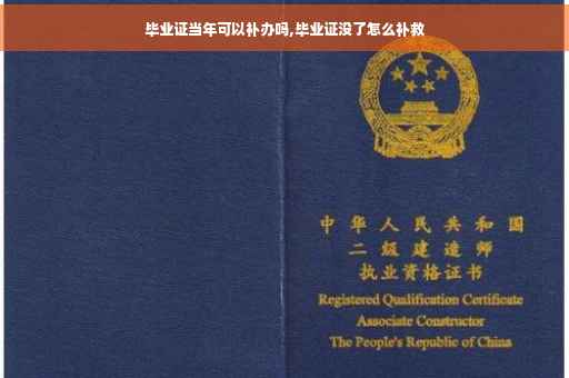 毕业证当年可以补办吗,毕业证没了怎么补救
