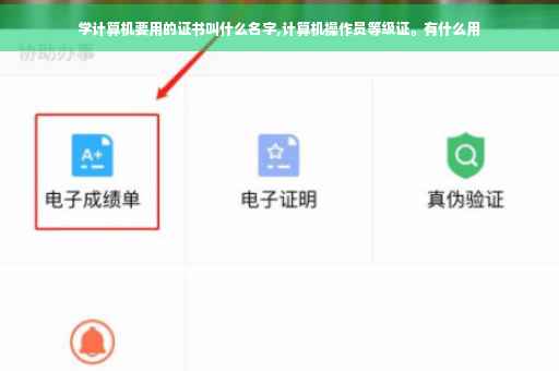 学计算机要用的证书叫什么名字,计算机操作员等级证。有什么用 学计算机要用的证书叫什么名字,计算机操作员等级证。有什么用