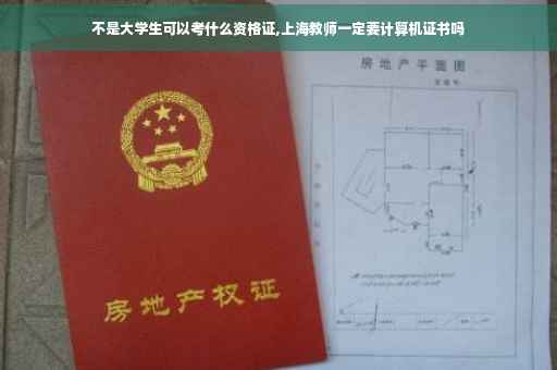 不是大学生可以考什么资格证,上海教师一定要计算机证书吗