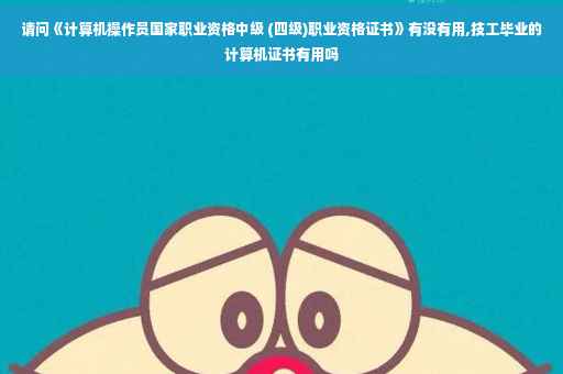 请问《计算机操作员国家职业资格中级 (四级)职业资格证书》有没有用,技工毕业的计算机证书有用吗