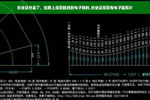 毕业证书丢了，在网上是否能找到电子档的,毕业证是否有电子版照片