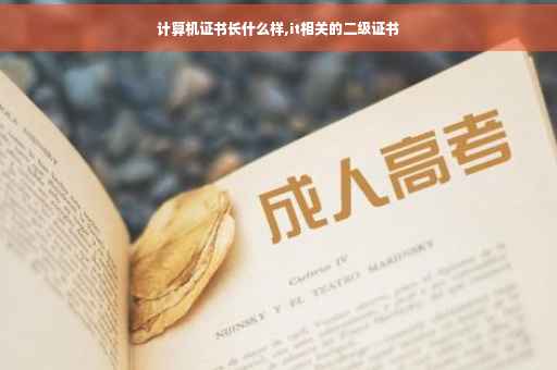 计算机证书长什么样,it相关的二级证书
