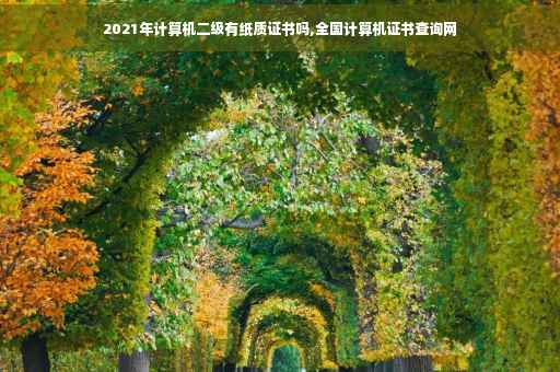 2021年计算机二级有纸质证书吗,全国计算机证书查询网
