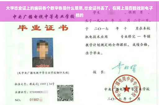 大学毕业证上的编码各个数字各是什么意思,毕业证书丢了，在网上是否能找到电子档的