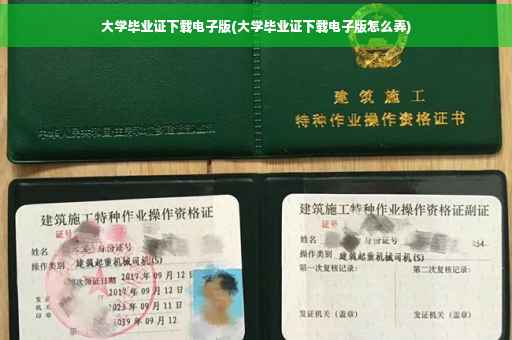 大学毕业证下载电子版(大学毕业证下载电子版怎么弄) 大学毕业证下载电子版(大学毕业证下载电子版怎么弄)