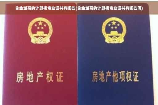 含金量高的计算机专业证书有哪些(含金量高的计算机专业证书有哪些呢)