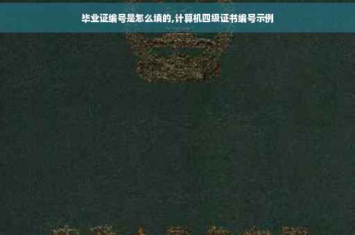 毕业证编号是怎么填的,计算机四级证书编号示例