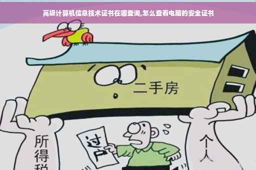 高级计算机信息技术证书在哪查询,怎么查看电脑的安全证书