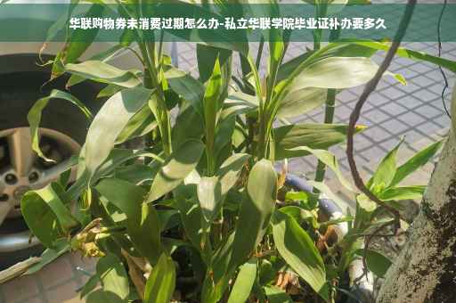 华联购物券未消费过期怎么办-私立华联学院毕业证补办要多久