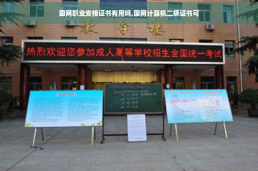 国网职业资格证书有用吗,国网计算机二级证书可