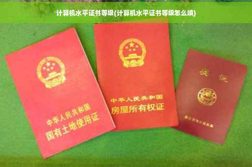 计算机水平证书等级(计算机水平证书等级怎么填)