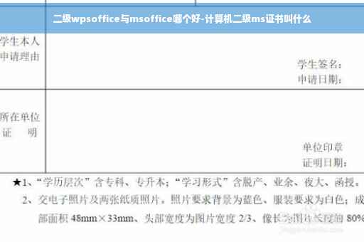 二级wpsoffice与msoffice哪个好-计算机二级ms证书叫什么