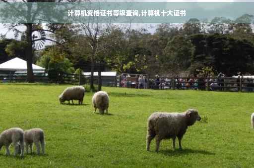 计算机资格证书等级查询,计算机十大证书