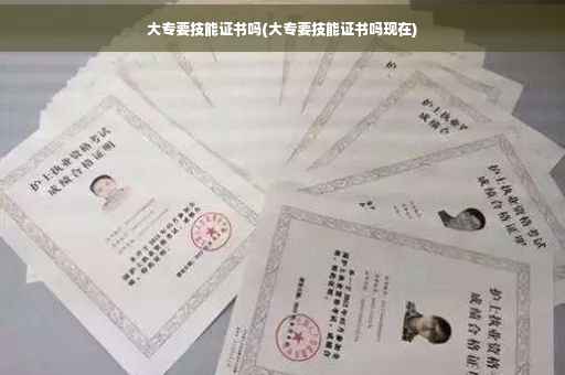 大专要技能证书吗(大专要技能证书吗现在)