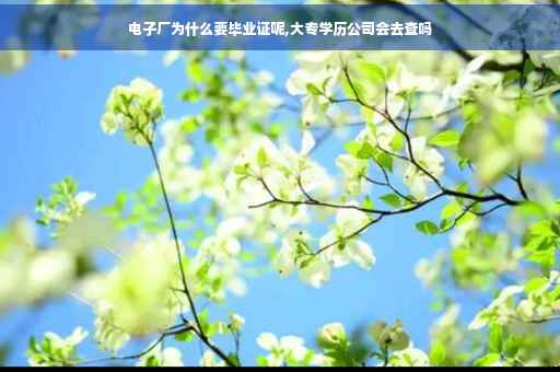 电子厂为什么要毕业证呢,大专学历公司会去查吗