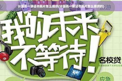 计算机一级证书照片怎么提供(计算机一级证书照片怎么提供的)