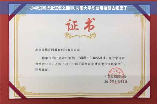 小学没有毕业证怎么回事,沈阳大学毕业后档案去哪里了