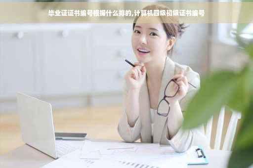 毕业证证书编号根据什么排的,计算机四级初级证书编号
