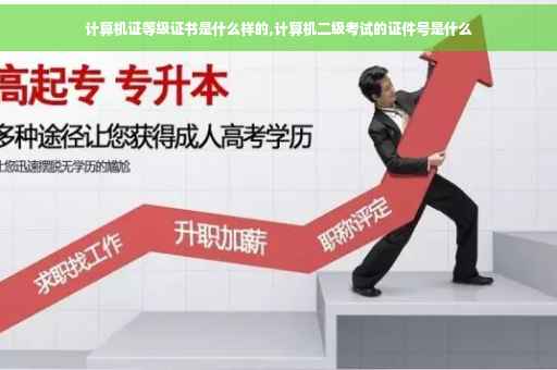 计算机证等级证书是什么样的,计算机二级考试的证件号是什么 计算机证等级证书是什么样的,计算机二级考试的证件号是什么