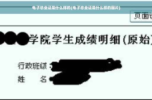 电子毕业证是什么样的(电子毕业证是什么样的图片)