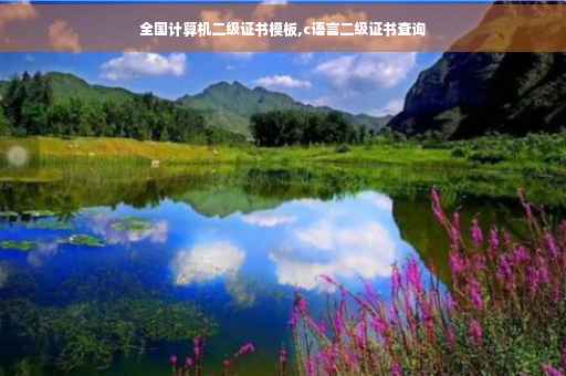 全国计算机二级证书模板,c语言二级证书查询