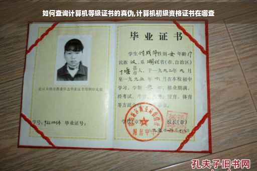 如何查询计算机等级证书的真伪,计算机初级资格证书在哪查