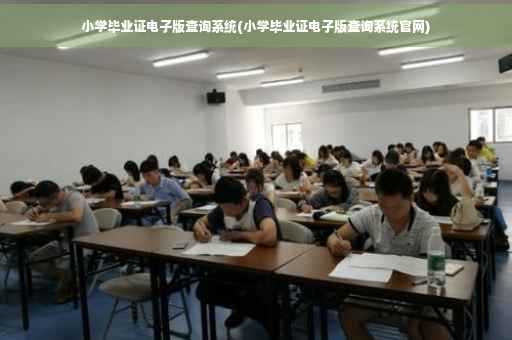 小学毕业证电子版查询系统(小学毕业证电子版查询系统官网)