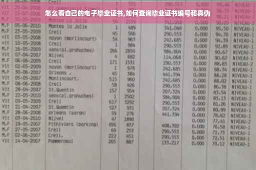 怎么看自己的电子毕业证书,如何查询毕业证书编号和真伪