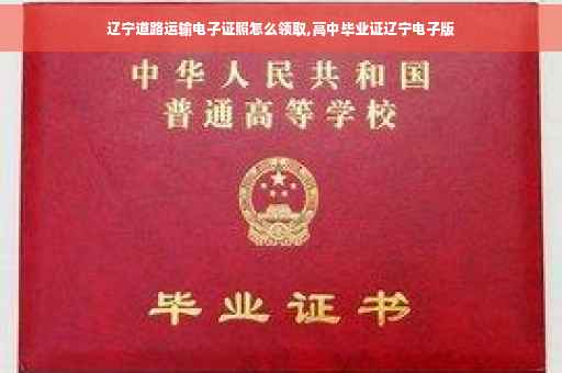 辽宁道路运输电子证照怎么领取,高中毕业证辽宁电子版