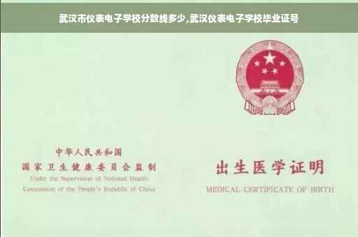 武汉市仪表电子学校分数线多少,武汉仪表电子学校毕业证号