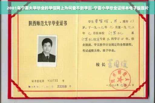 2001年宁夏大学毕业的学信网上为何查不到学历-宁夏小学毕业证样本电子版图片