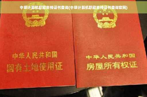 中级计算机职称资格证书查询(中级计算机职称资格证书查询官网)