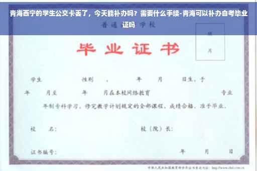 青海西宁的学生公交卡丢了，今天能补办吗？需要什么手续-青海可以补办自考毕业证吗