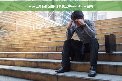 wps二级有什么用-计算机二级ms office 证书