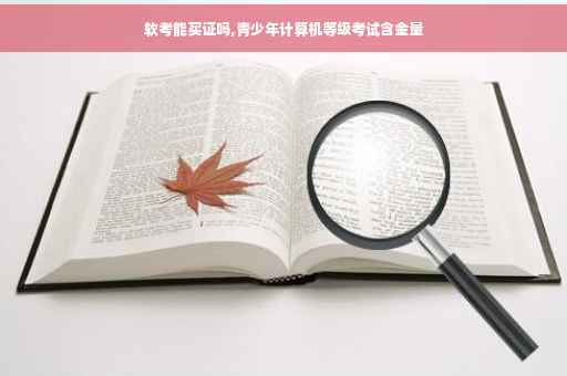 软考能买证吗,青少年计算机等级考试含金量