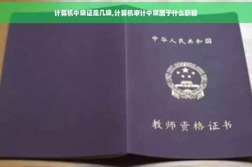 计算机中级证是几级,计算机审计中级属于什么职称