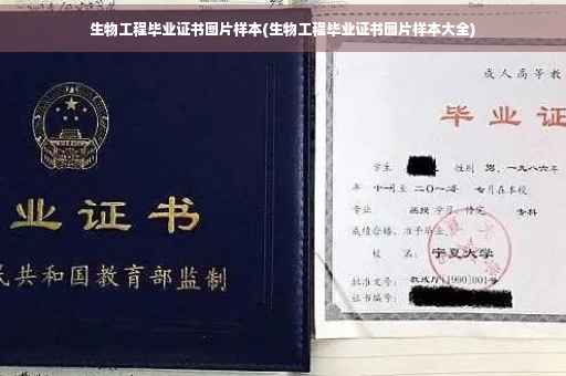 生物工程毕业证书图片样本(生物工程毕业证书图片样本大全)