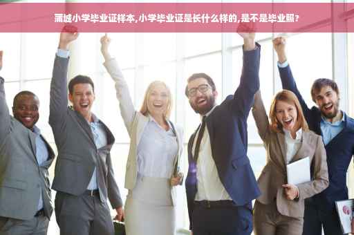 蒲城小学毕业证样本,小学毕业证是长什么样的,是不是毕业照?