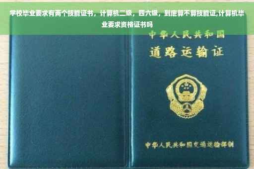 学校毕业要求有两个技能证书，计算机二级，四六级，到底算不算技能证,计算机毕业要求资格证书吗