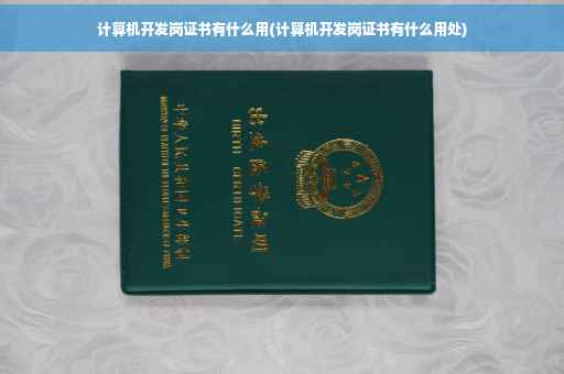 计算机开发岗证书有什么用(计算机开发岗证书有什么用处)