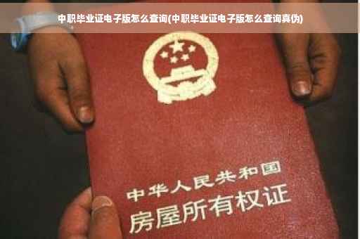 中职毕业证电子版怎么查询(中职毕业证电子版怎么查询真伪)