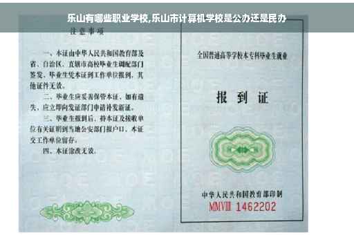 乐山有哪些职业学校,乐山市计算机学校是公办还是民办