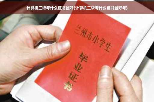 计算机二级考什么证书最好(计算机二级考什么证书最好考)