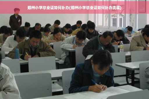 郑州小学毕业证如何补办(郑州小学毕业证如何补办流程)