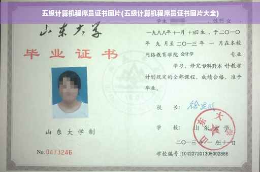 五级计算机程序员证书图片(五级计算机程序员证书图片大全)